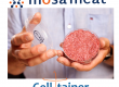 Mosa Meat Celltainer Biotech News